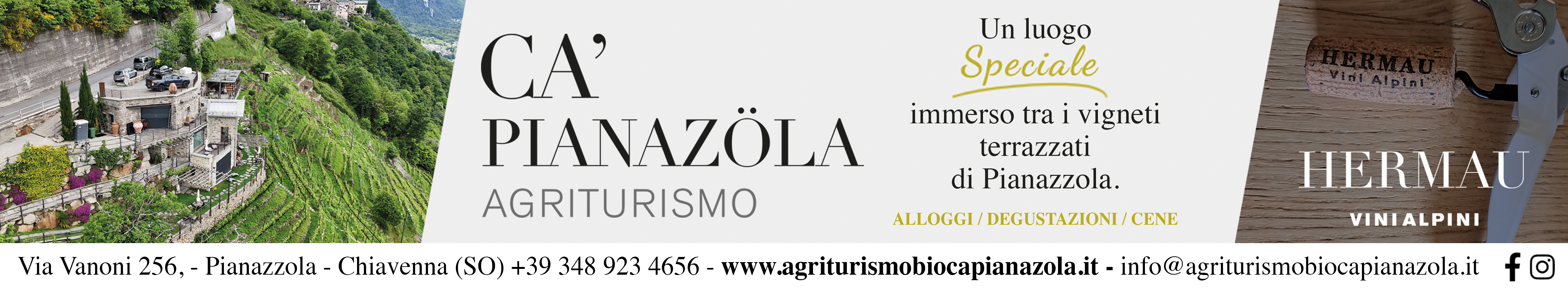 https://agriturismobiocapianazola.it/